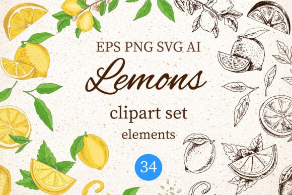Vintage Lemons Clipart Set for Graphics & Illustrations